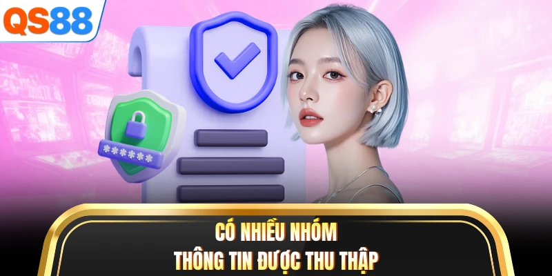 Có nhiều nhóm thông tin được thu thập